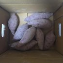 수아농장 | [앱테크 추천] 온라인 농사 어디까지 해봤니? 올팜 찐 유저가 전하는 생생한 후기