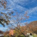 구강축산 | [회복기록_02.] 대구갑상선암수술 입원 준비-로봇수술과 구병원 조지형 원장님