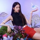 아이비랩 이미지