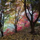 풍경 - 미리내 성지(안성)의 가을풍경 이미지