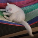 동물병원 누리에뜰 이미지