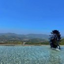(주) 대천리조트 | 보령 대천 2박 3일 가족여행 - 예당호 출렁다리 모노레일, 갱스커피, 성주산자연휴양림, 원산도 카페...