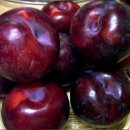 한마음한의원 이미지