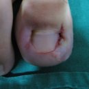 현대통통의원 이미지