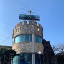 보길도낙지이야기 이미지