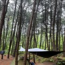 서리산농장 이미지