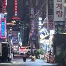 경원대로1347번길 이미지