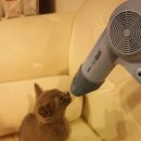 (주)비유티플 이미지