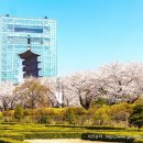 가족팬션 오늘 이미지