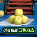 그린시스(Greensis)