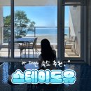 스테이도유 | 태안 숙소 스테이도유 B2 내돈내산 후기 호텔 느낌이 나는 청포대해수욕장 근처 숙소