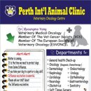 퍼스동물병원 이미지