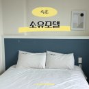한울모텔 2(투) | 강원도 속초 가성비 숙소 소유모텔 청초호 버스터미널 근처 호텔
