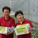 이병철농장 이미지