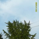 영생농장 이미지