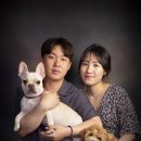 (주)반려동물털로덮인친구들 이미지