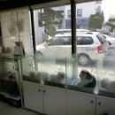 서경석동물병원 이미지