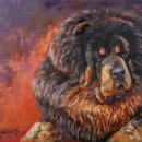 펫갤러리 이미지