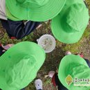 은석초등학교 병설유치원 이미지