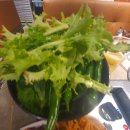 거북이동네 하단점 이미지