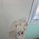 아림빌라 이미지