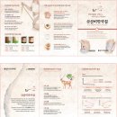성남약침원외탕전실 | 한방약침의 모든 것: [남상천면역약침] 남상천원외탕전실 18종(산삼비만·동안·자보약침) 효능·용량...