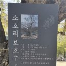 소호분교초등학교 이미지