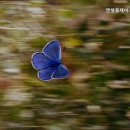 엔젤홈케어 성북지사 | 믿을만한 성북구 추천 요양원 엔젤홈케어 성북지사 성북구 요양원 추천