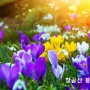 그리스도 안에 있는 하나님의 뜻 이미지