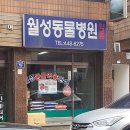 채우리약국 이미지