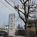 감나무식당 | 양양맛집 감나무식당 황태국밥 후기 양양여행 해장국 필수코스