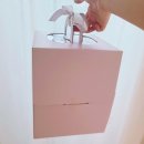 대구 도쿄팡야 레터링 생화케이크 리뷰