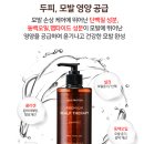 탑테라피