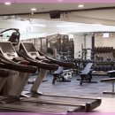 쏘마휘트니스 이미지