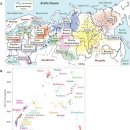 북부유전자 이미지