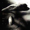 갤러리41 동아일보