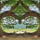 2/14~16/아찔한 스릴 서커스공연과 카누체험 레트로와 함께하는 여행[싱글룸] 이미지