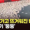더올라 이미지