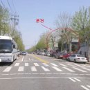장자골로 티스토리