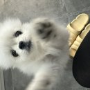 윤이프