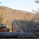 선암사 Daum카페