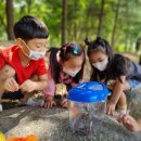 다목초병설유치원 이미지