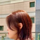 아르연헤어 | 송도 8공구미용실 영양염색 청담동 출신 원장님이 오픈한 아르연헤어 후기