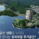 마이투스 이미지