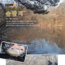 솔밭지 이미지