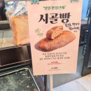 수지목장 | [용인 상현동] 용인 대형 빵집 추천 '본누벨 베이커리', 빵 종류가 다양했던 수지 베이커리 카페
