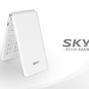 스카이텔레콤 이미지