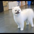 멍했냥 평택본점 이미지