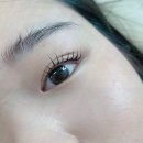 아이원 동물병원 | 아이원잇 미사본점에서 느낀 미사속눈썹펌 매력