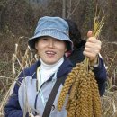 승안농장 이미지